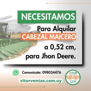 CABEZAL MAICERO