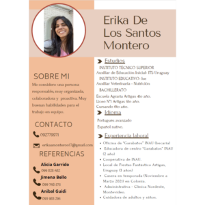 Postulación a Trabajo