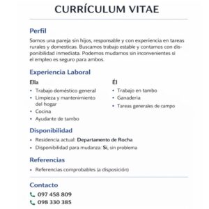 Postulación a Trabajo Caseros