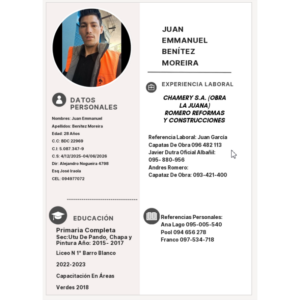 Postulación a Trabajo
